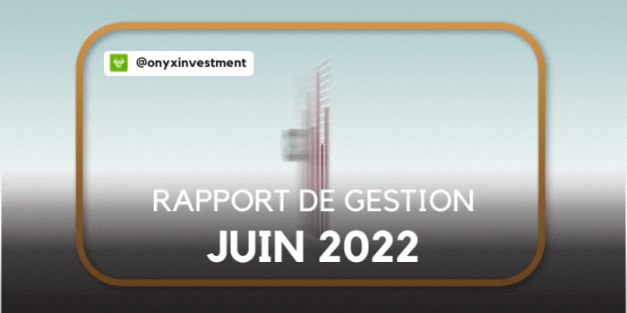 onyx-gif-flash-marche-rapport-700-c3-97-450-px-1