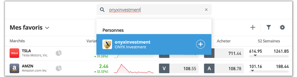 Portefeuille long terme ONYX Investment sur eToro